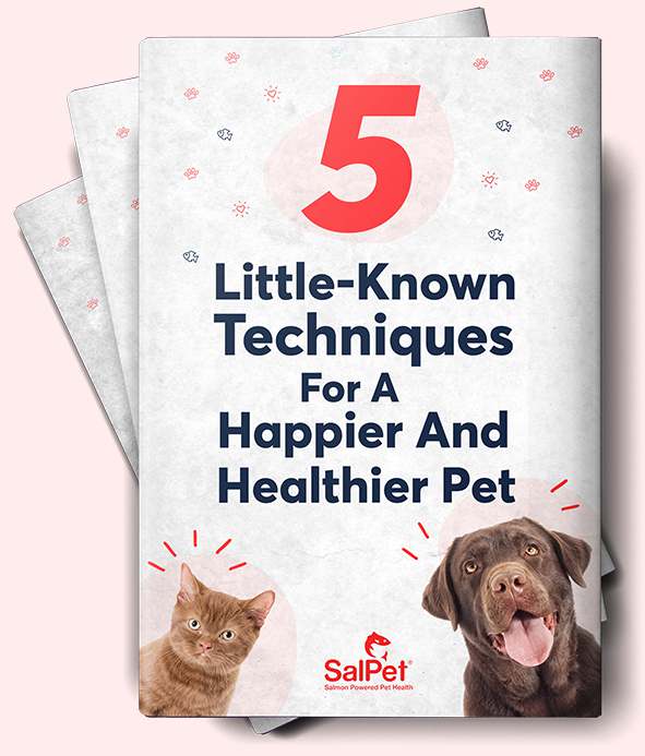 salmon oil for pets